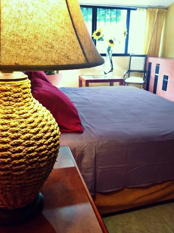B&B Villa Hibiscus Playa del Carmen 3*,