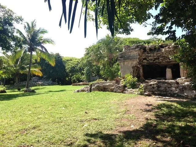 B&B Villa Hibiscus Playa del Carmen Alojamento de Acomodação e Pequeno-almoço