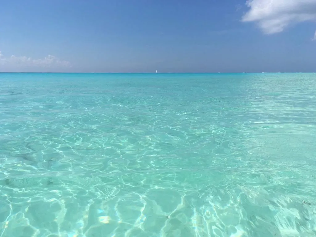 Alojamento de Acomodação e Pequeno-almoço B&B Villa Hibiscus Playa del Carmen