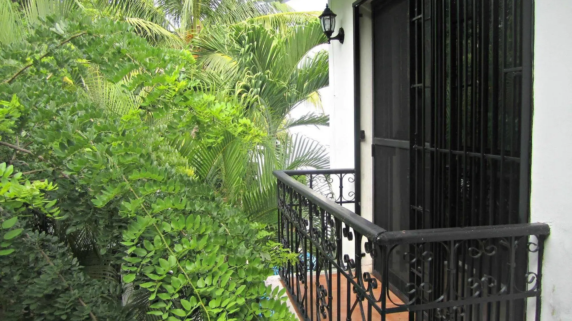 B&B Villa Hibiscus Playa del Carmen